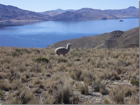 LagunillasViewpoint