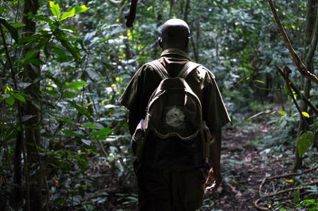 Uganda tra cascate e scimpanzè: il Parco Nazionale delle Cascate Murchinson e la Foresta di Budongo