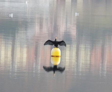 Il Lago d'Orta ad Omegna (VCO)