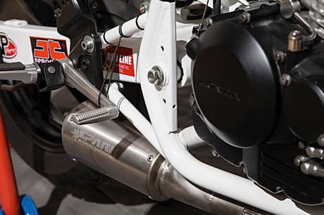 Honda CBF 250 Tracker by XTR PEPO