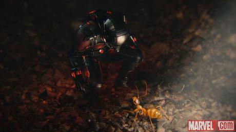 Ant-Man and the Wasp: Andrew Barrer & Gabriel Ferrari confermati, tornerà anche Adam McKay