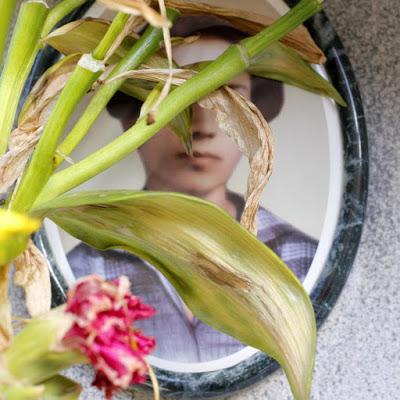 Nel mondo delle immagini.