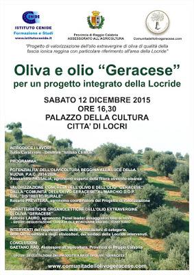 Oliva e olio Geracese per un progetto integrato della Locride.