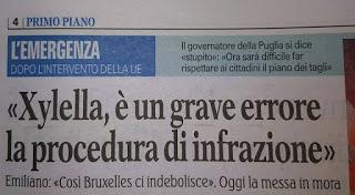 Xylella 10 dicembre 2015