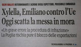 Xylella 10 dicembre 2015