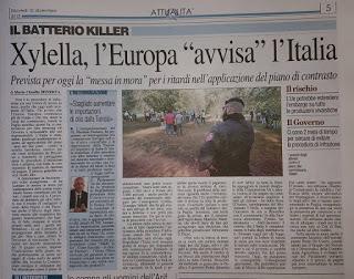 Xylella 10 dicembre 2015