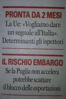 Xylella 10 dicembre 2015