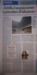 Xylella 10 dicembre 2015