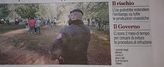 Xylella 10 dicembre 2015