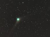 Cometa Natale C/2013 US10 Catalina