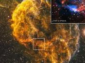 dopo Nebulosa Medusa?