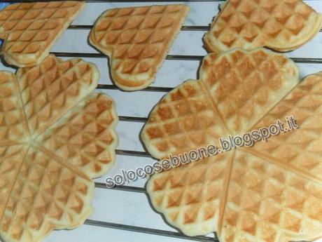 Oggi facciamo i waffel