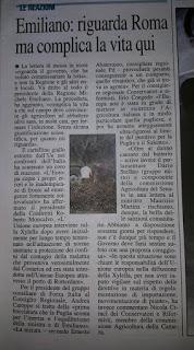 Xylella 11 dicembre 2015