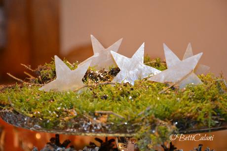 20141228_stelle e muschio (35)