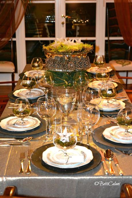 20141228_stelle e muschio 1