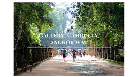 Gallery: Cambogia, Angkor Wat