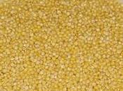 amaranto ricette polenta