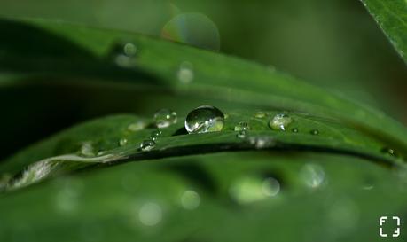 Goutte d'eau