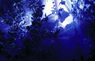 r.m.stuart - bella addormentata