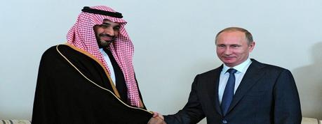 A meeting between Russian President Vladimir Putin and the new Saudi Defense Minister Mohammed bin Salman al-Saud took place in Sochi.