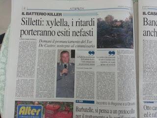 Xylella 15 dicembre 2015