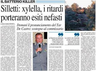 Xylella 15 dicembre 2015