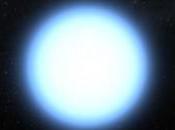 macchia nana bianca intorno