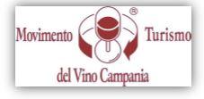 Le strade del vino Campane: i competitors