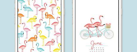 Freebies: ovvero dove scaricare calendari e altre cose belle per la nostra scrivania Freebies: ovvero dove scaricare calendari e altre cose belle per la nostra scrivania