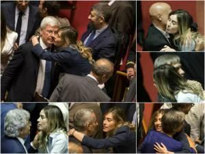 boschi-senato-578043