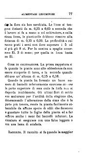 Fava  (Vicia faba L., 1753) - Canevari A., Coltivazione delle Piante Alimentari, Italia Agricola Editrice 1884