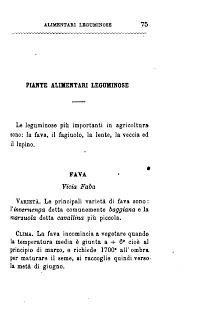 Fava  (Vicia faba L., 1753) - Canevari A., Coltivazione delle Piante Alimentari, Italia Agricola Editrice 1884