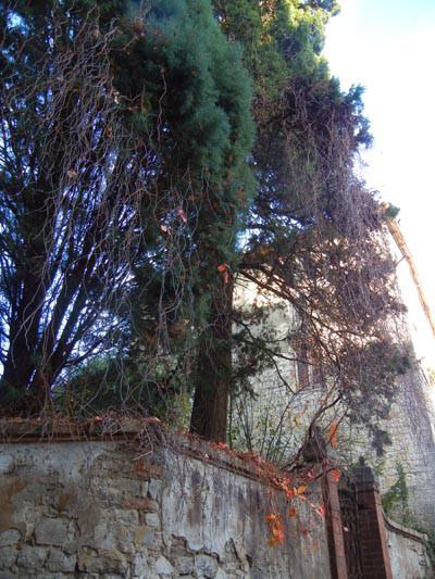 Todi_Umbria_viaggiandovaldi