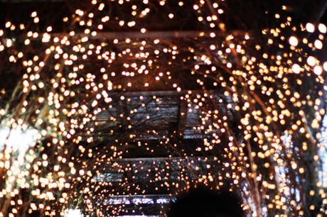 INSPIRATION: ALL I WANT FOR CHRISTMAS all I want for christmas, lights