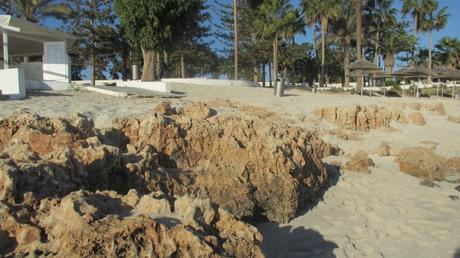 Larnaca e Ayia Napa: gatti e spiagge nella Cipro baciata dal sole anche in autunno