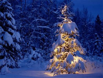 It’s Christmas Time… Special Blog Tour #9