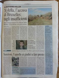 Xylella 17 dicembre 2015