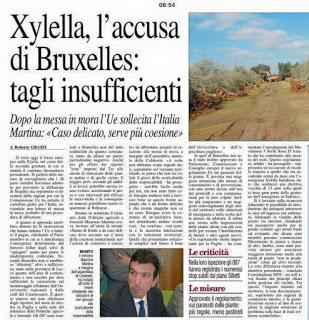 Xylella 17 dicembre 2015