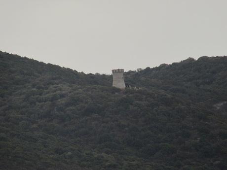 Corsica- ghjurnata quattru