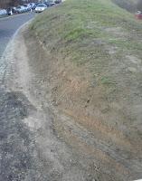 PAVIA. Allarme per i lavori alla rampa dell'argine. AIPO: 