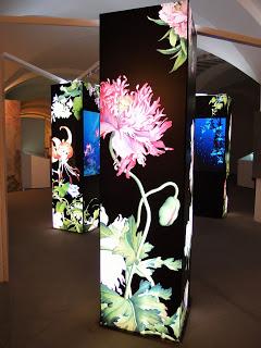 Firenze in inverno