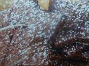 biscotti natale cioccolato