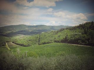 Le foto del viaggio nel Chianti di Rossella Papa