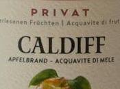 Caldiff Distilleria Roner