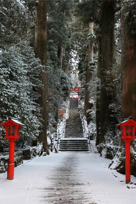 Giardino sotto la neve