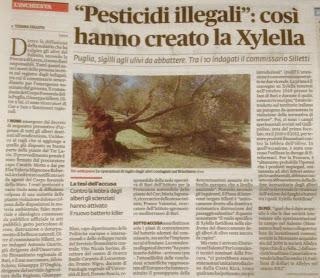 Xylella 19 dicembre 2015