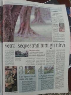 Xylella 19 dicembre 2015