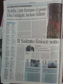 Xylella 19 dicembre 2015