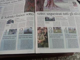 Xylella 19 dicembre 2015