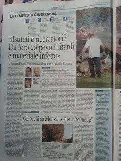 Xylella 19 dicembre 2015